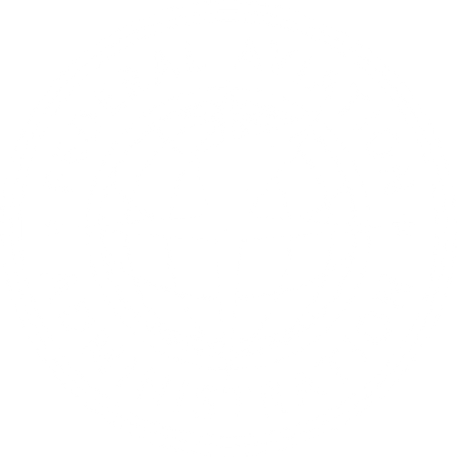 FAA logo